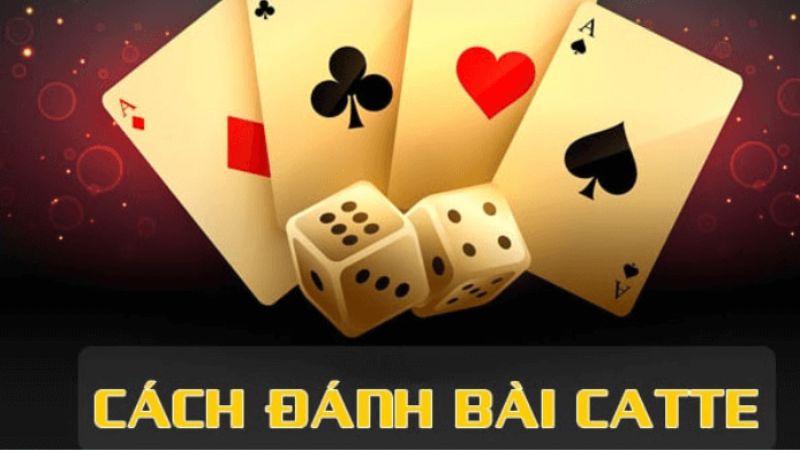 Luật chơi game bài catte dễ hiểu nhất